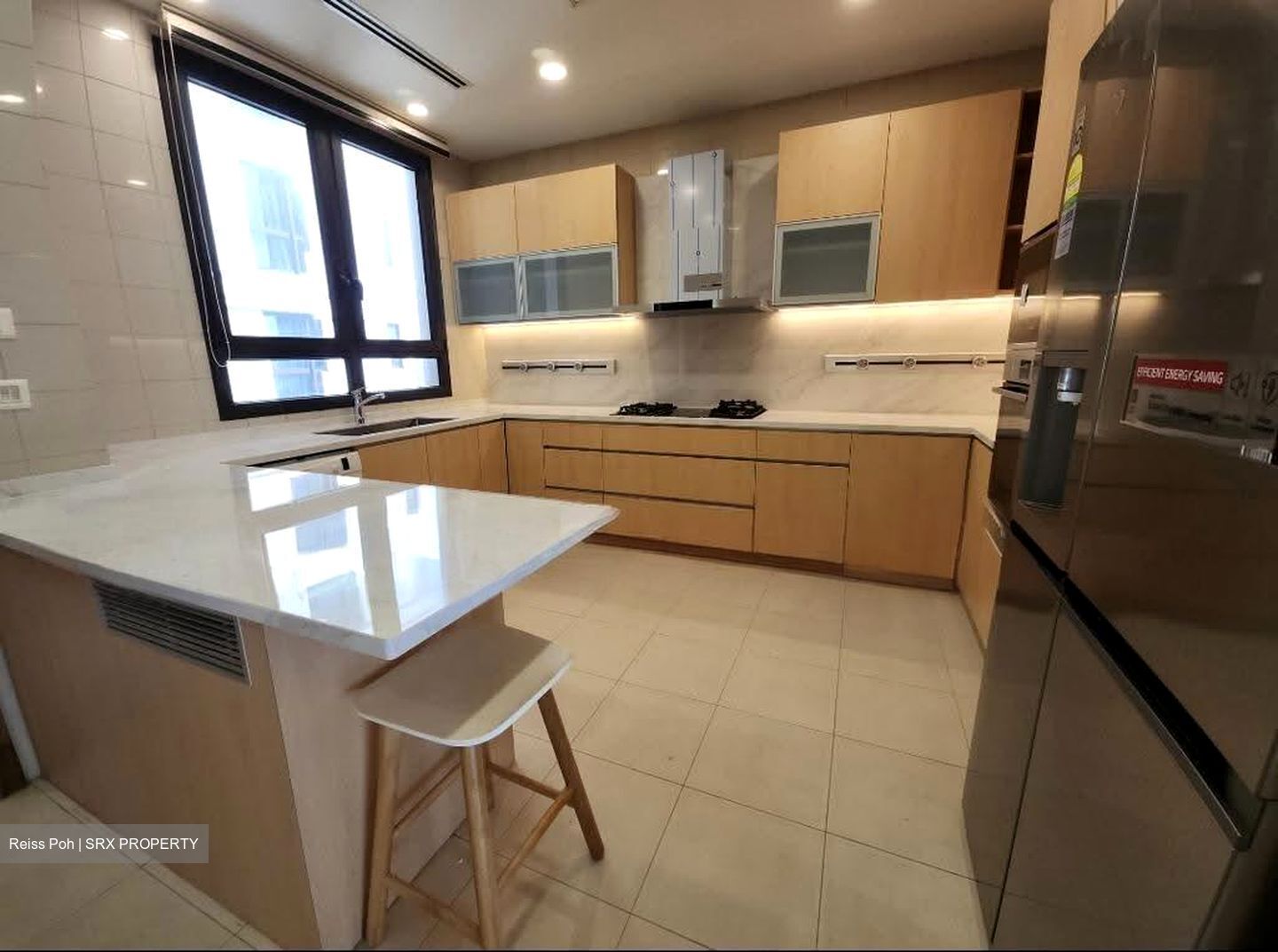 Ardmore Park (D10), Condominium #610265491